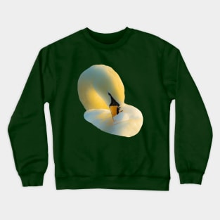 Swan Light Crewneck Sweatshirt